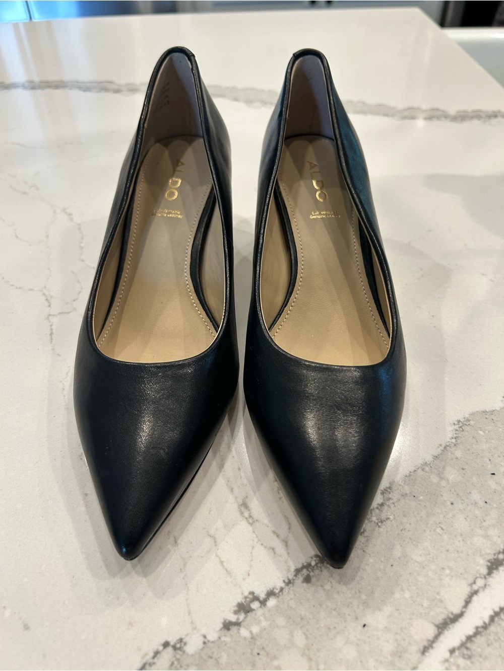 Aldo Black Pointed Toe Leather Heels